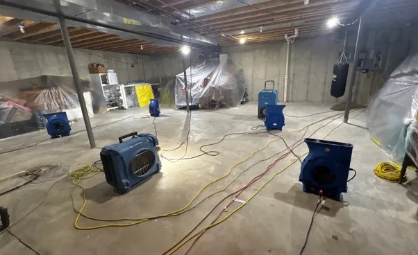 Flooded Basement Cleanup in Belle Meade, TN