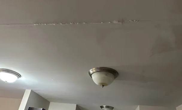 Ceiling Mold Removal in Goodlettsville, TN