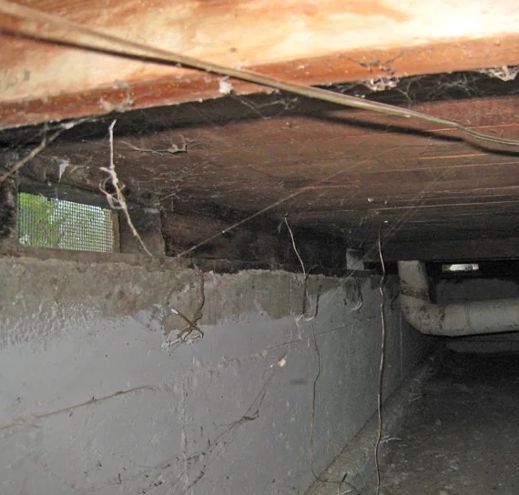 Crawlspace Mold Remediation in Goodlettsville, TN