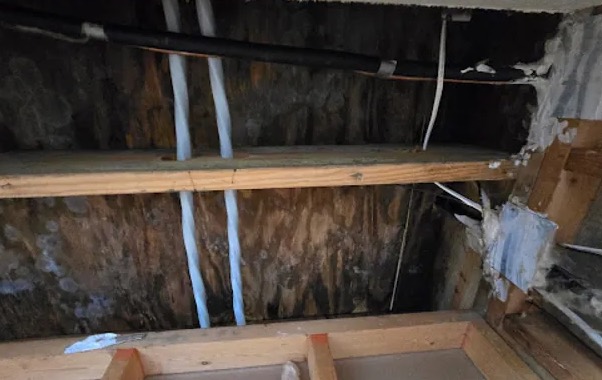 Attic Water Damage Restoration in Goodlettsville, TN