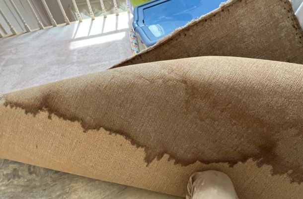 Water Damage, Fire Damage & Mold Remediation Experts in Franklin, Tennessee