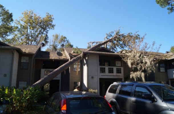 Storm Damage Restoration Franklin, Tennessee